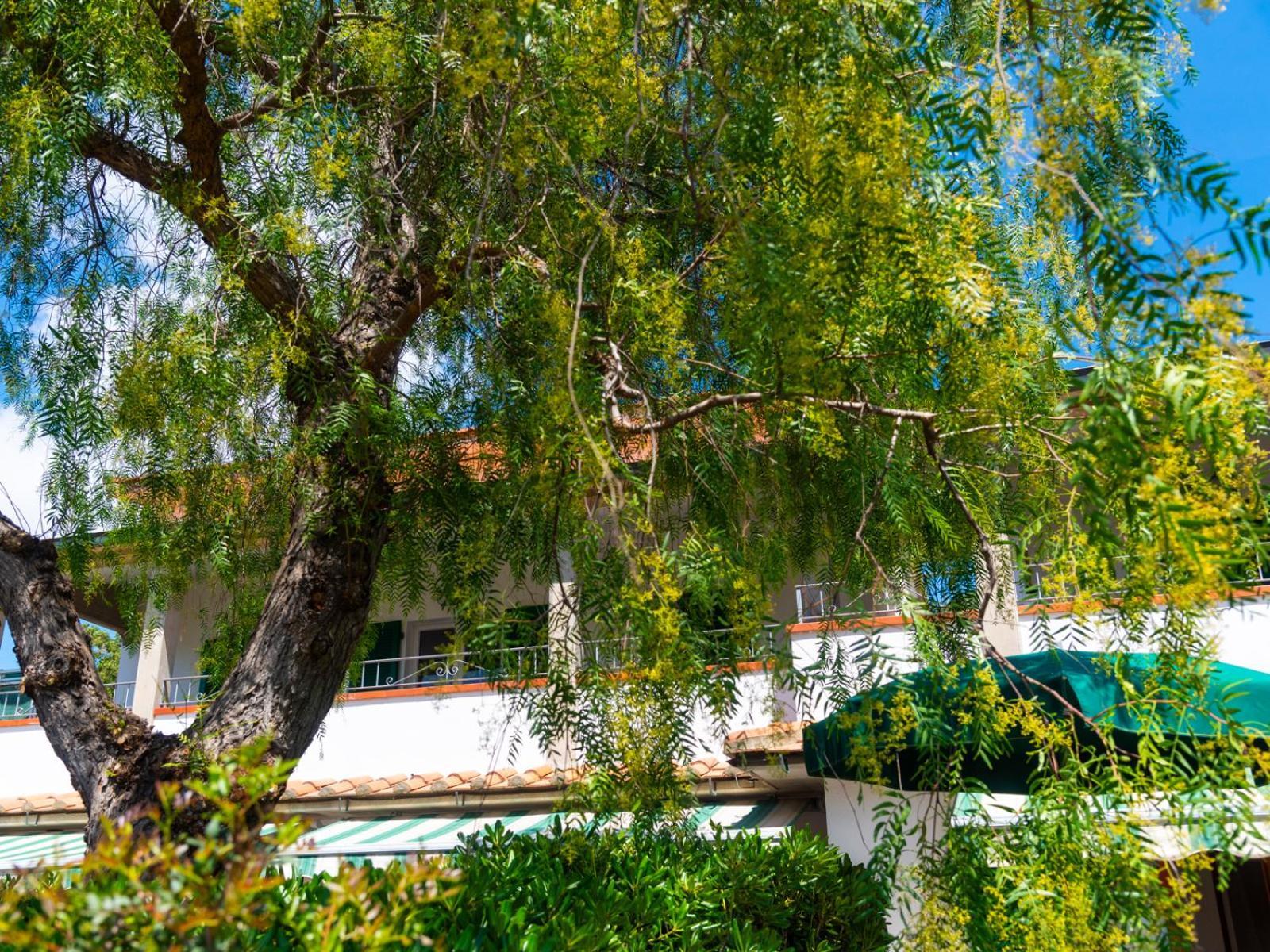 Residence Augusto กาโปลิเวรี ภายนอก รูปภาพ